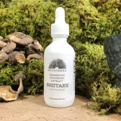 shiitake-mushroom-extract